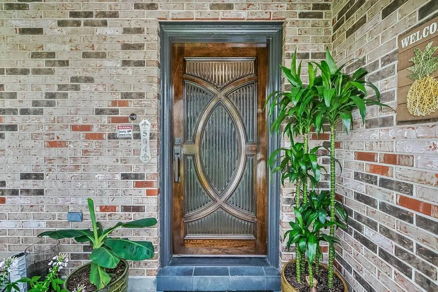 Modern Door